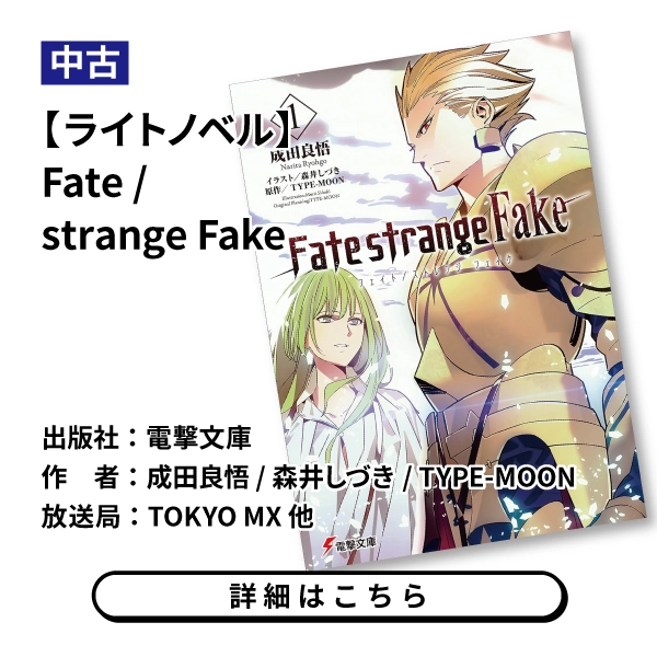 【ライトノベル】Fate / strange Fake