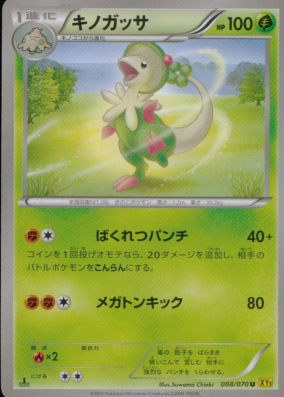 メイン商品画像