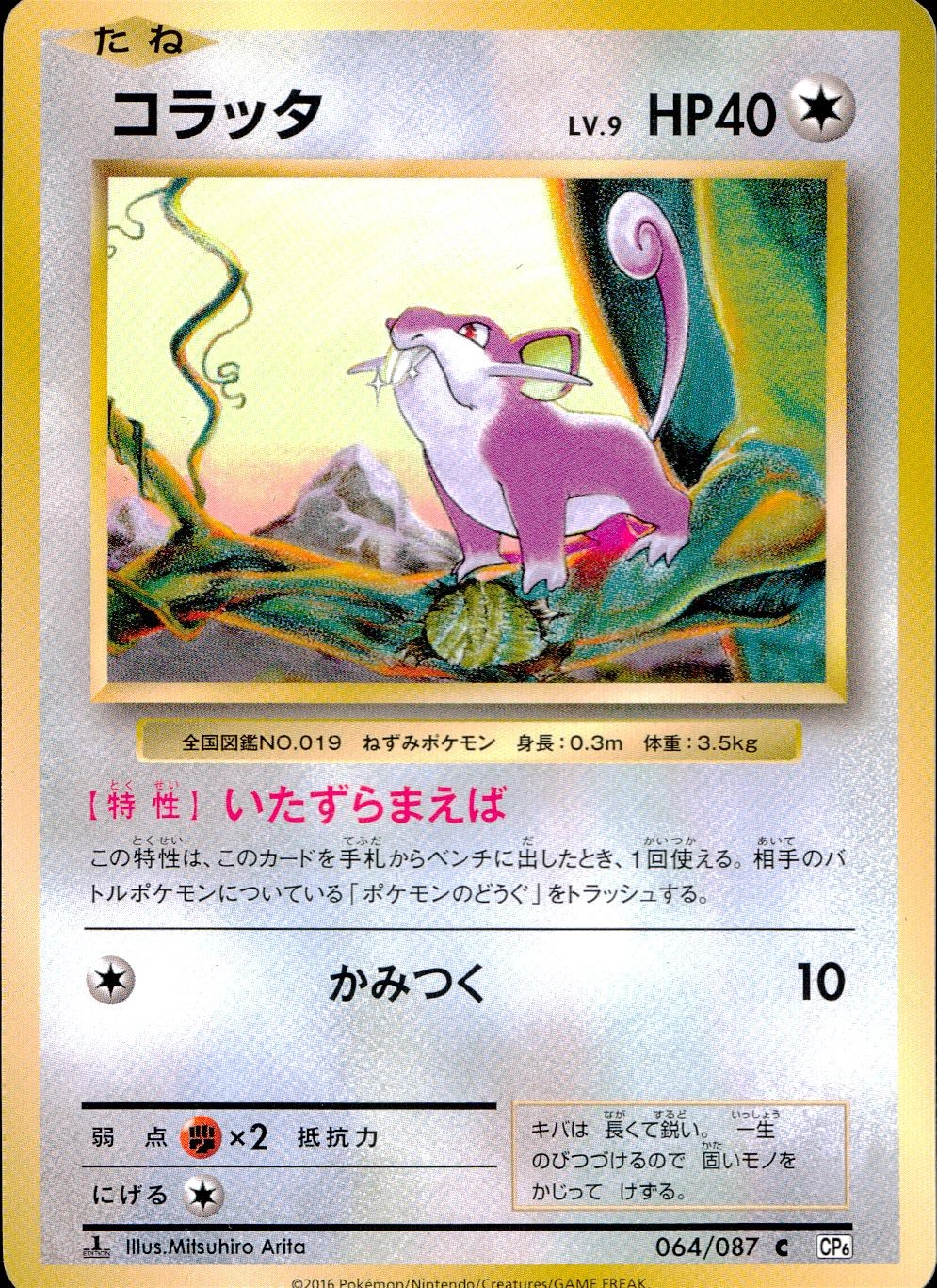 メイン商品画像