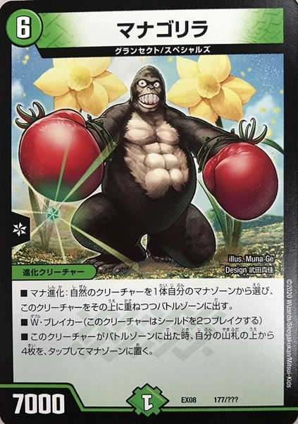 メイン商品画像