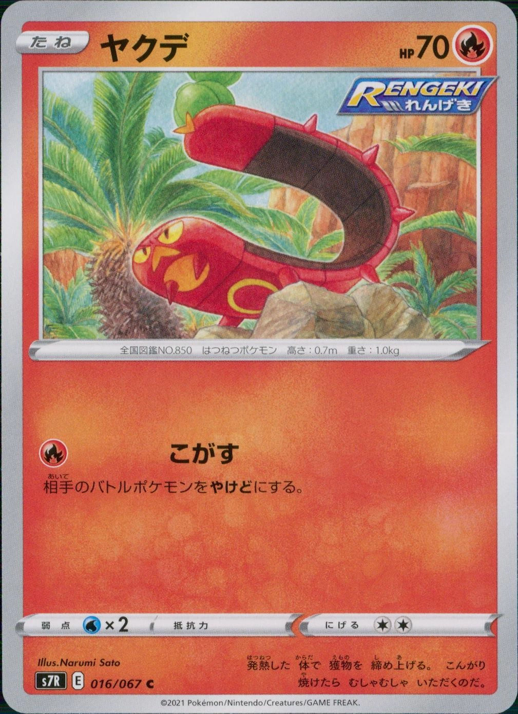 メイン商品画像