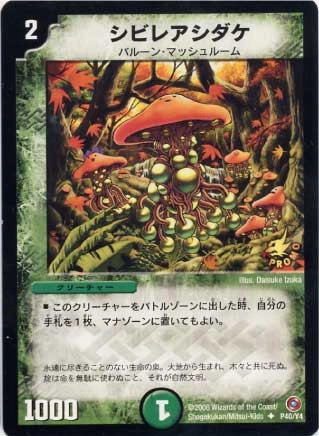 デュエルマスターズカード！！！！ Amazon.co.jp: デュエルマスターズ DMEX19 M40/M40 Q.Q.QX.／終