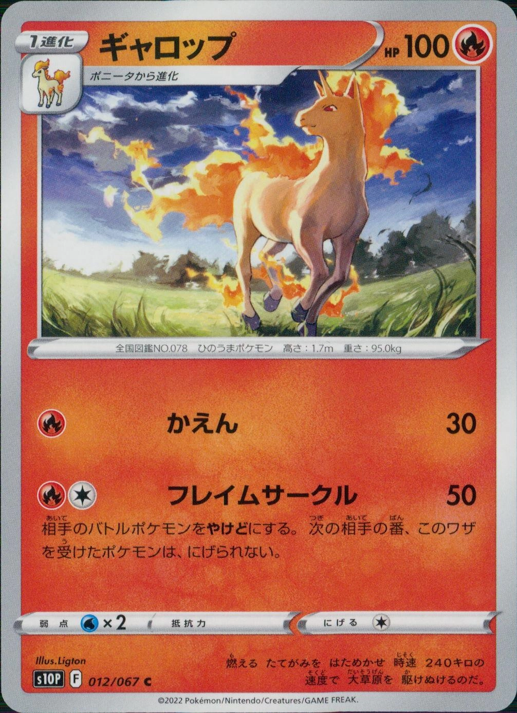 メイン商品画像