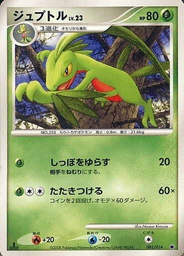 ポケモンカードゲーム　ADV ジュプトルカード　未剥がし 未剥がしプロモ】ポケモンカードゲーム US版オフィシャルスペシャルW