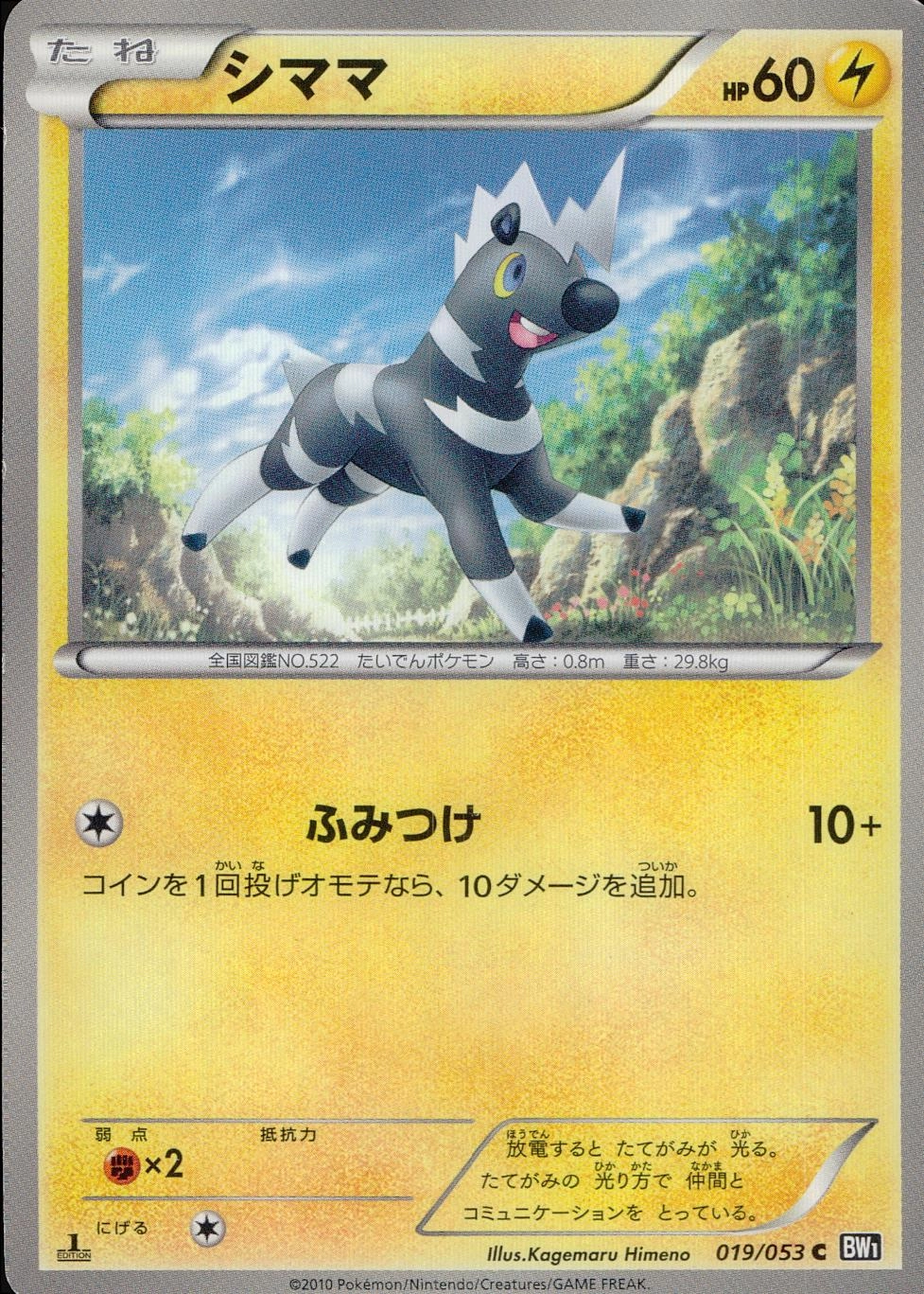 メイン商品画像