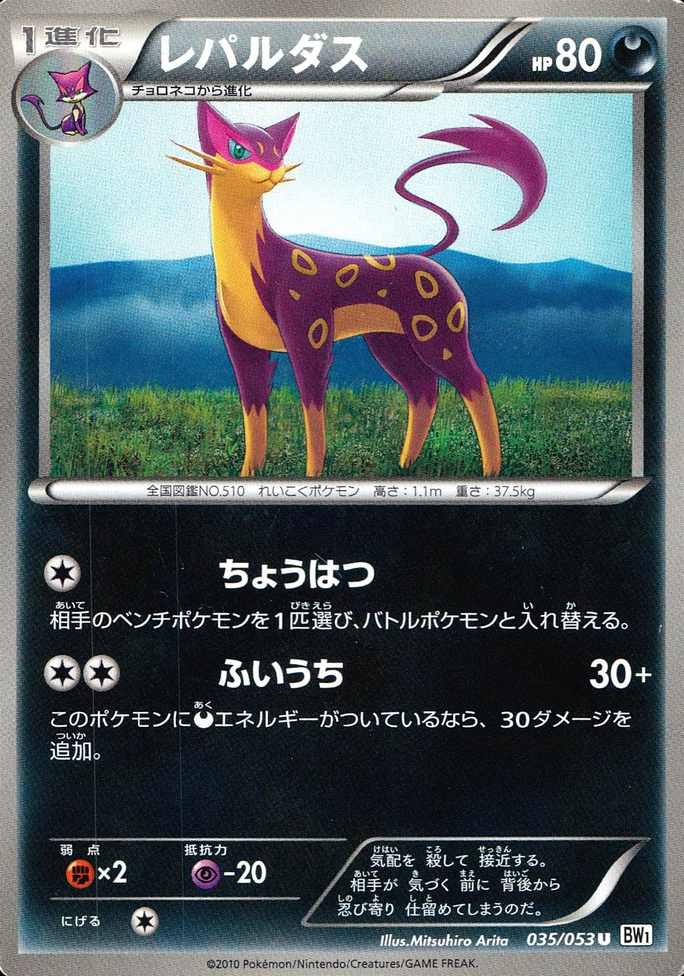 メイン商品画像