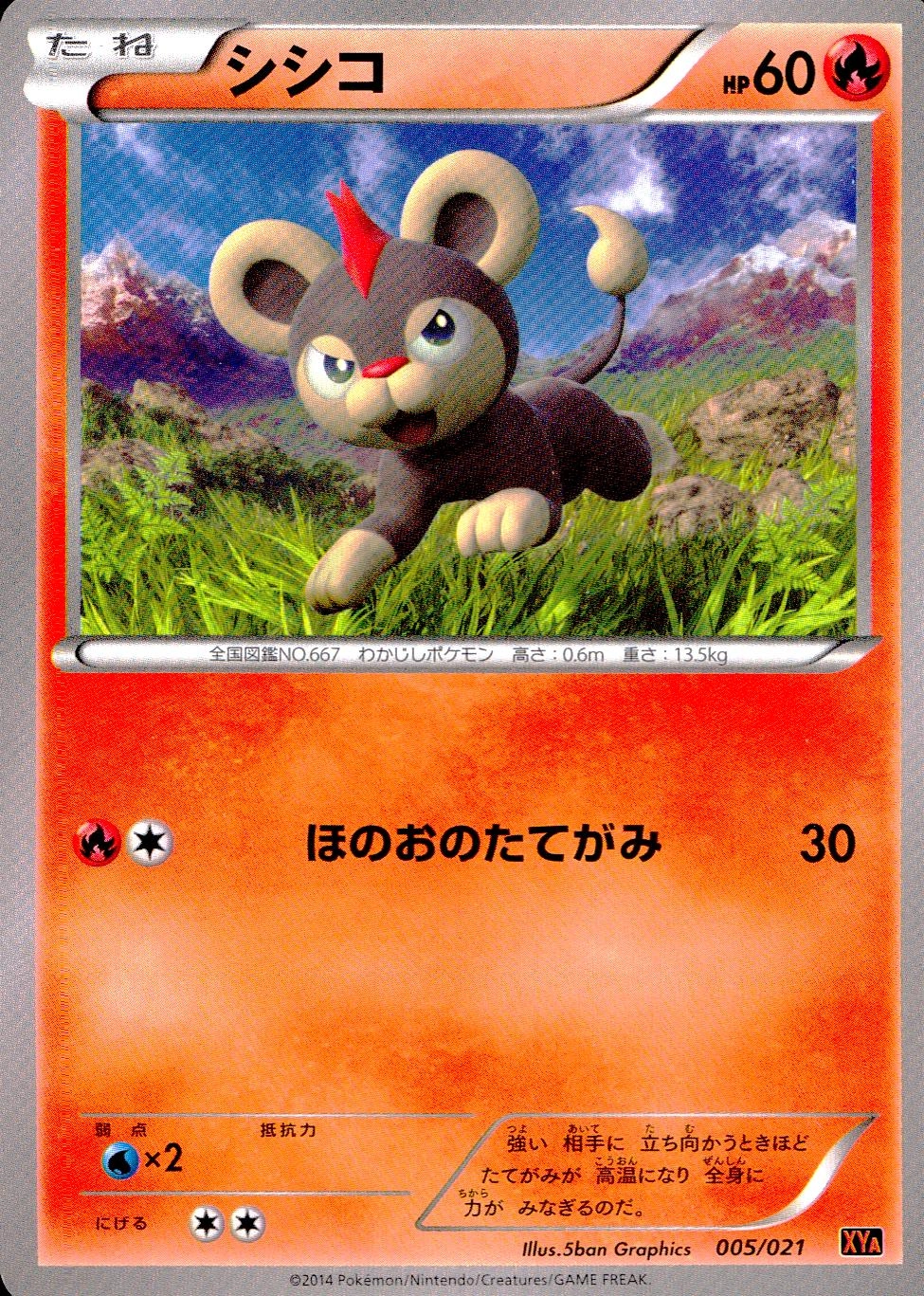 メイン商品画像