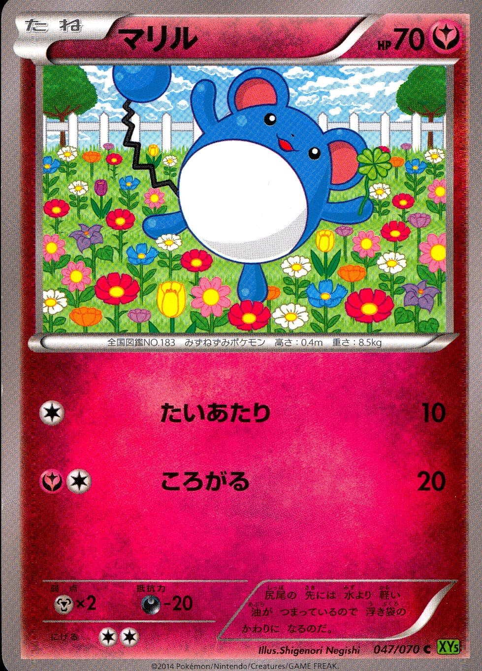 メイン商品画像