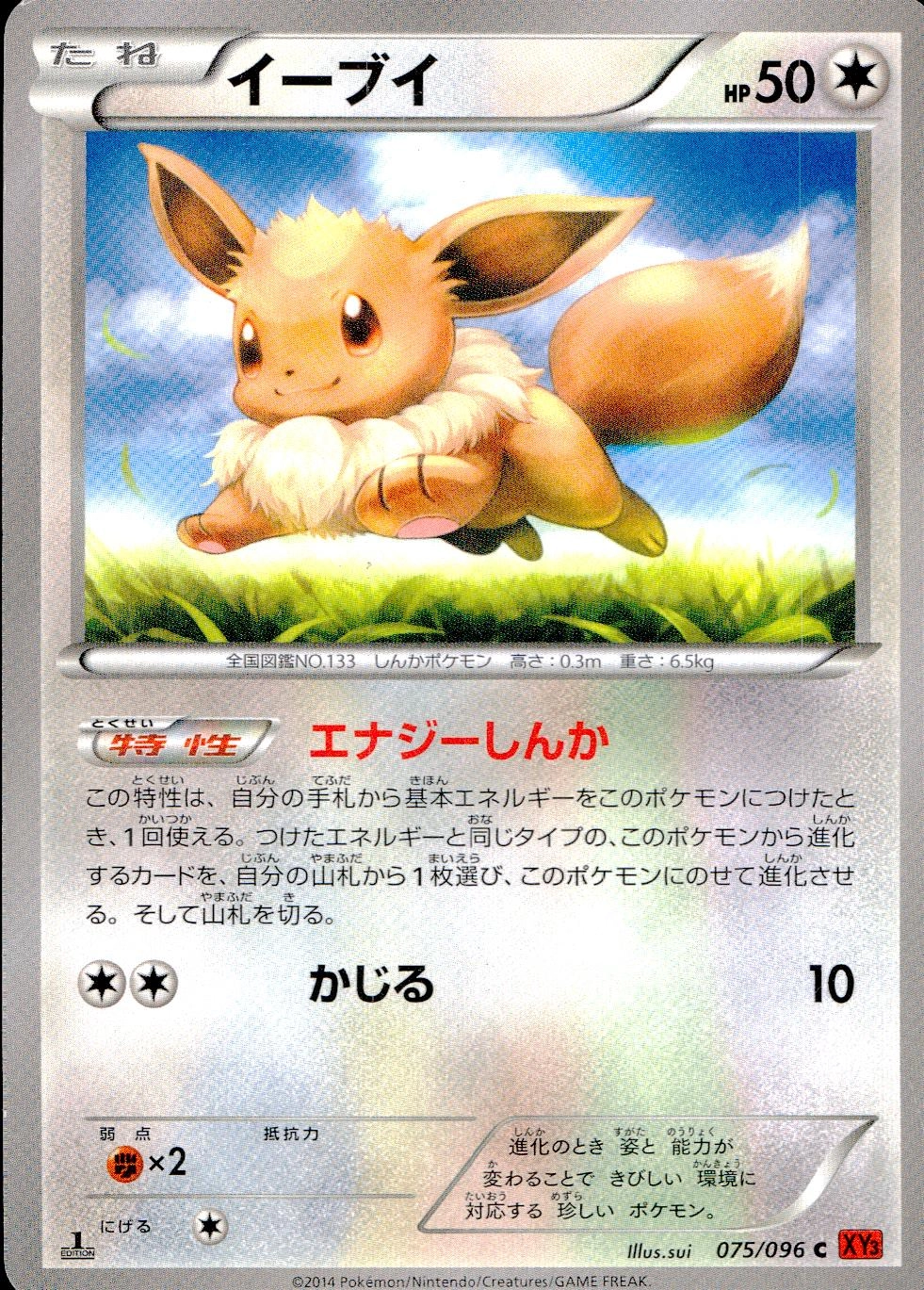 メイン商品画像