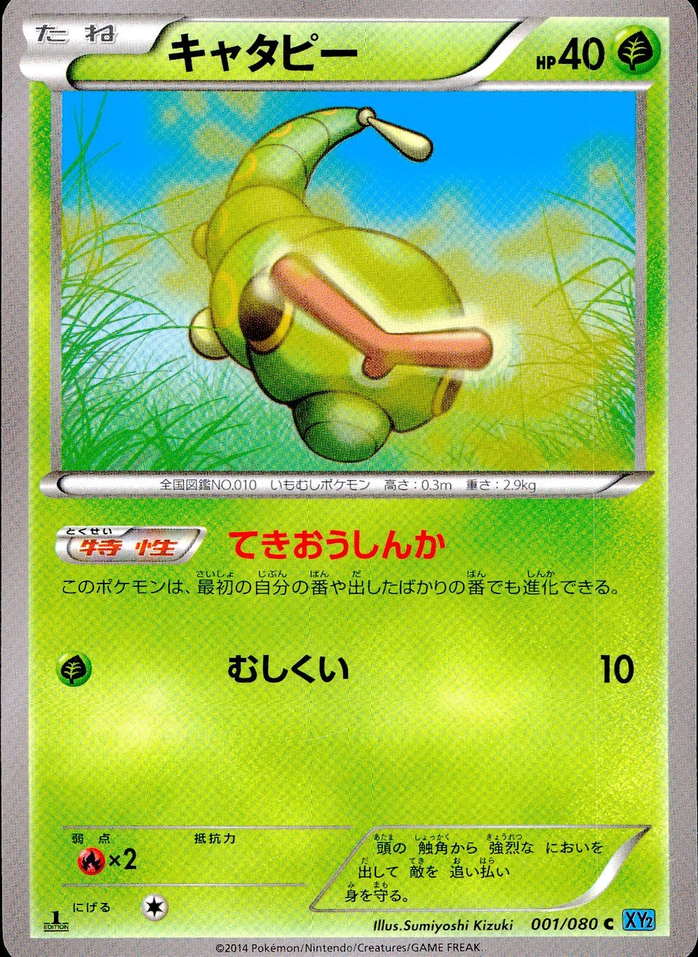 メイン商品画像