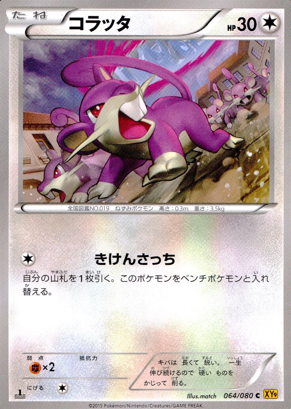 メイン商品画像