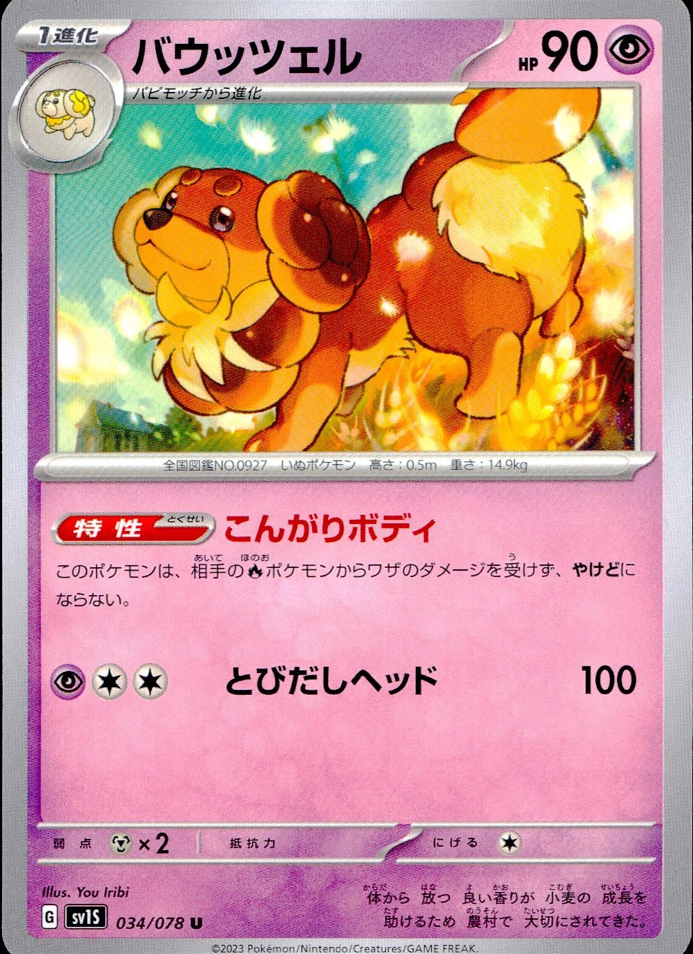 メイン商品画像