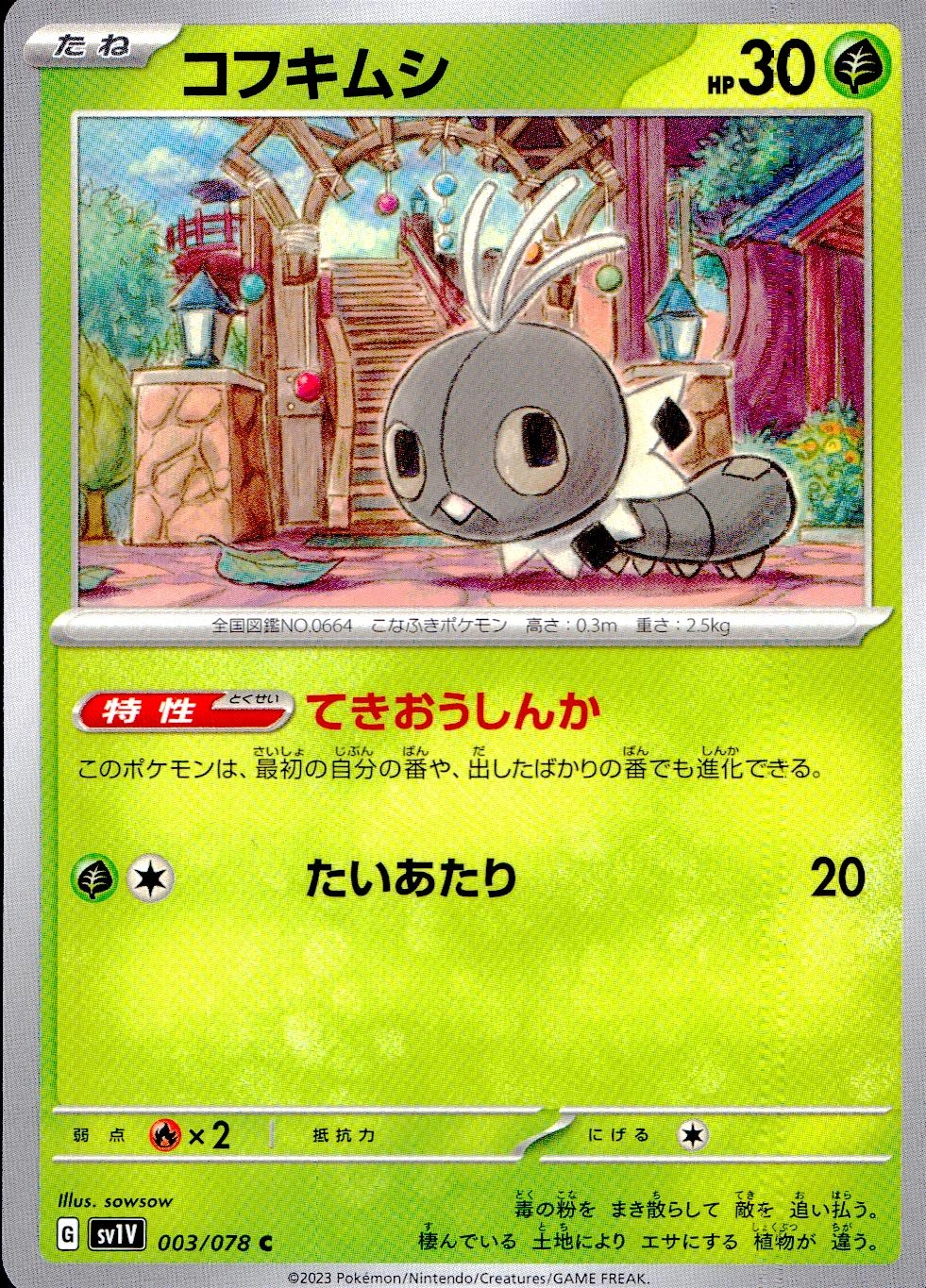 メイン商品画像