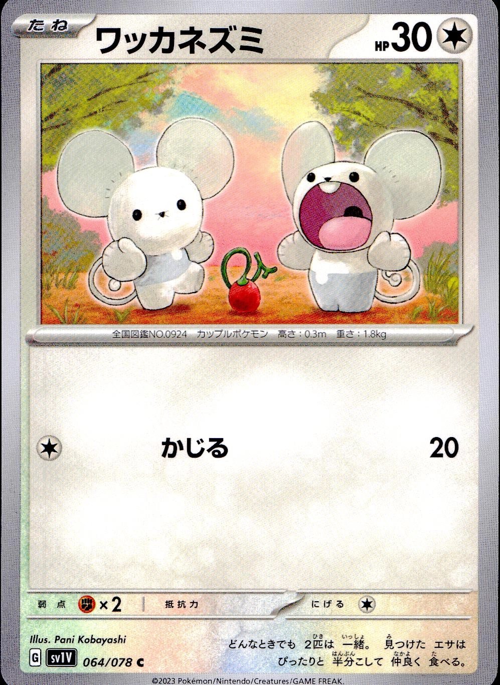 メイン商品画像
