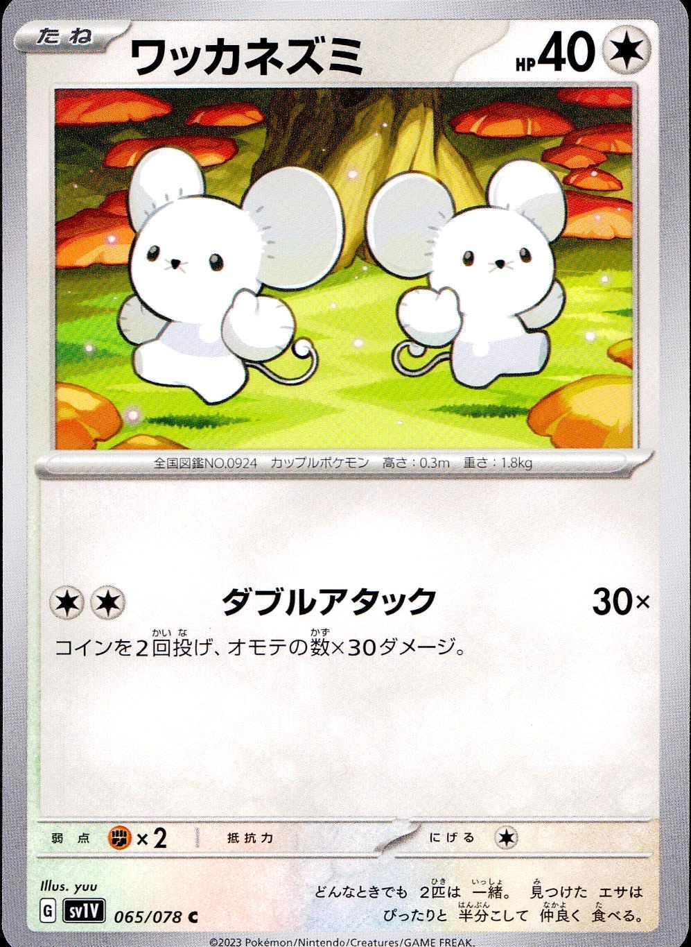 メイン商品画像