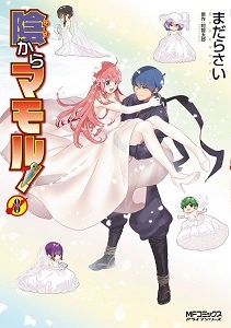 メイン商品画像