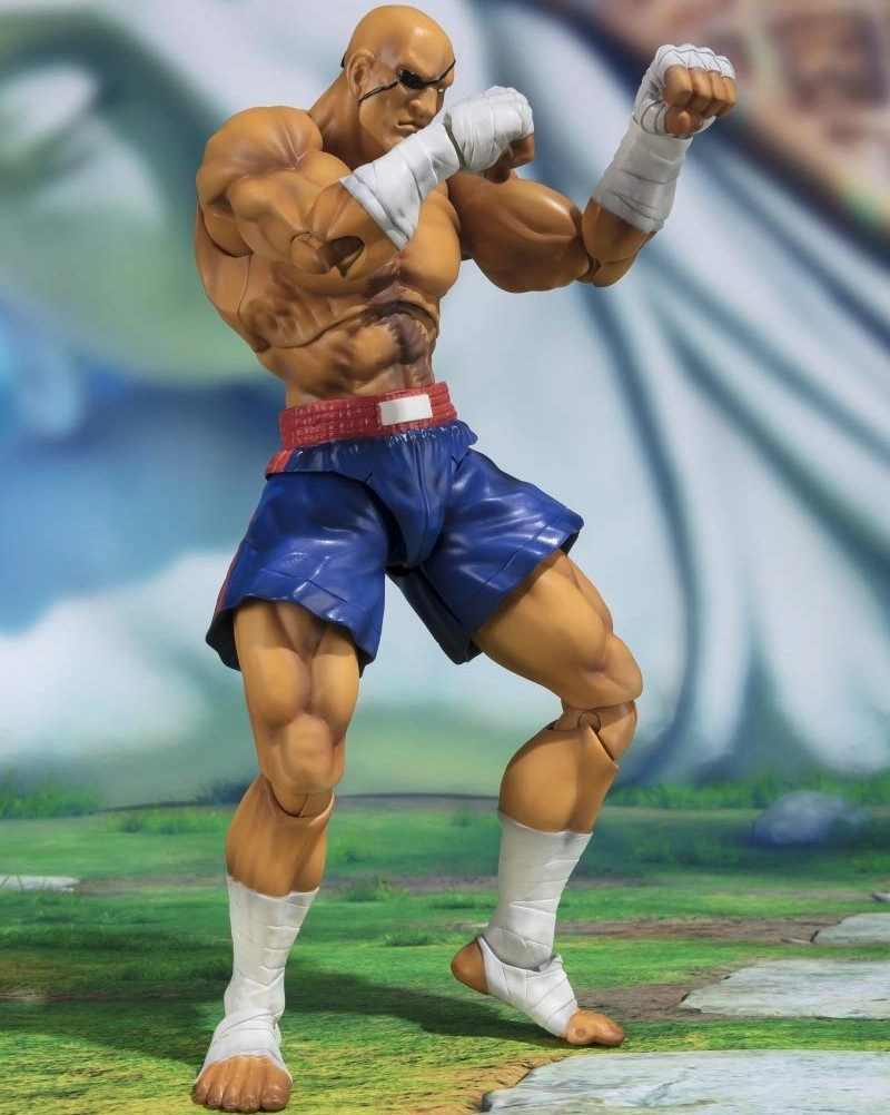 ふるいちオンライン - ホビー/ホビー その他/S.H.Figuarts ストリート