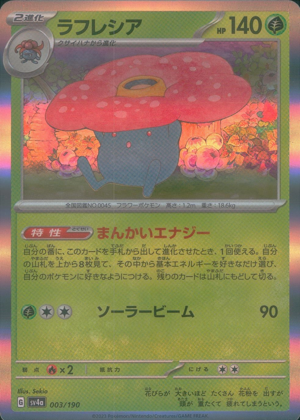 メイン商品画像