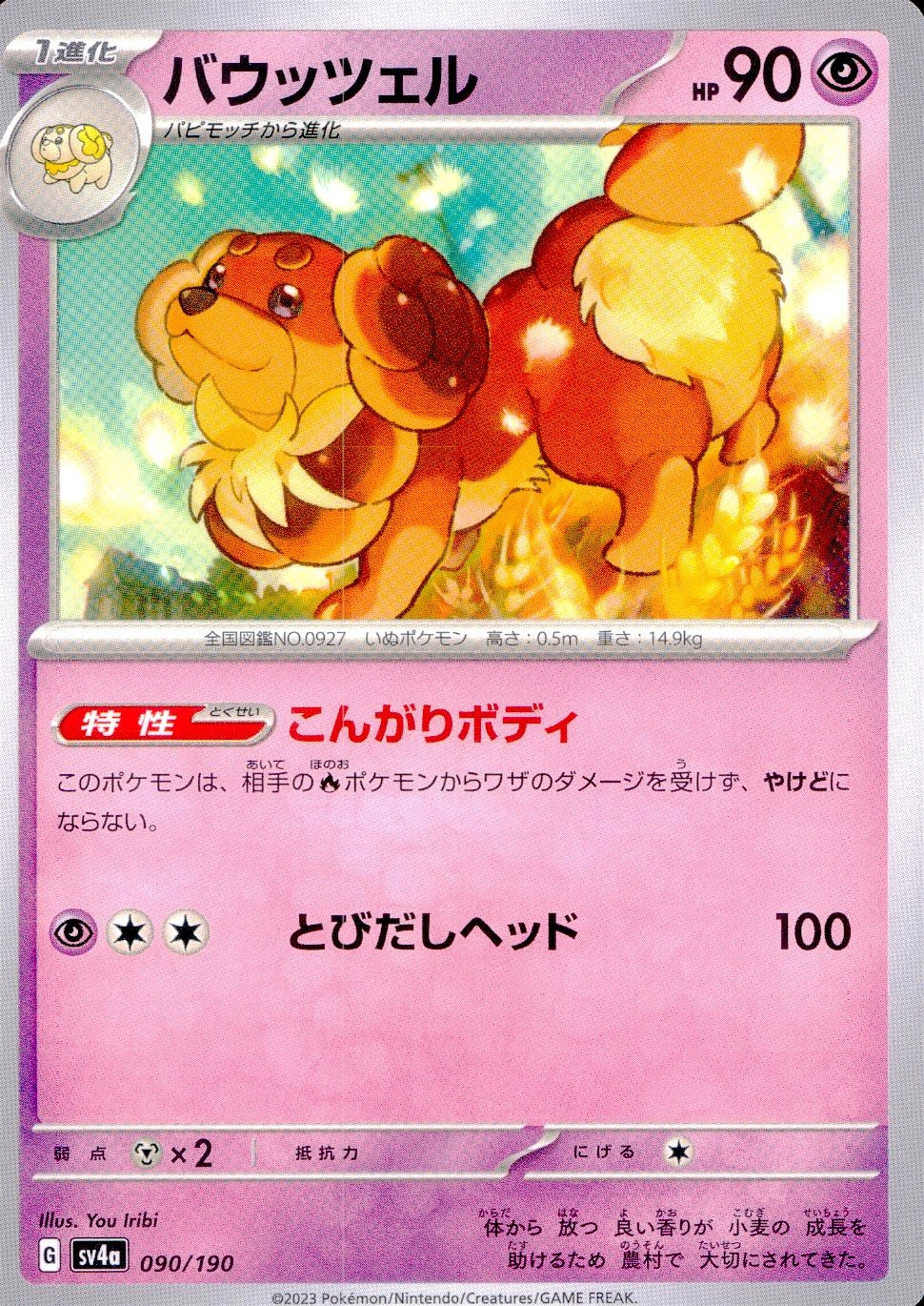 メイン商品画像