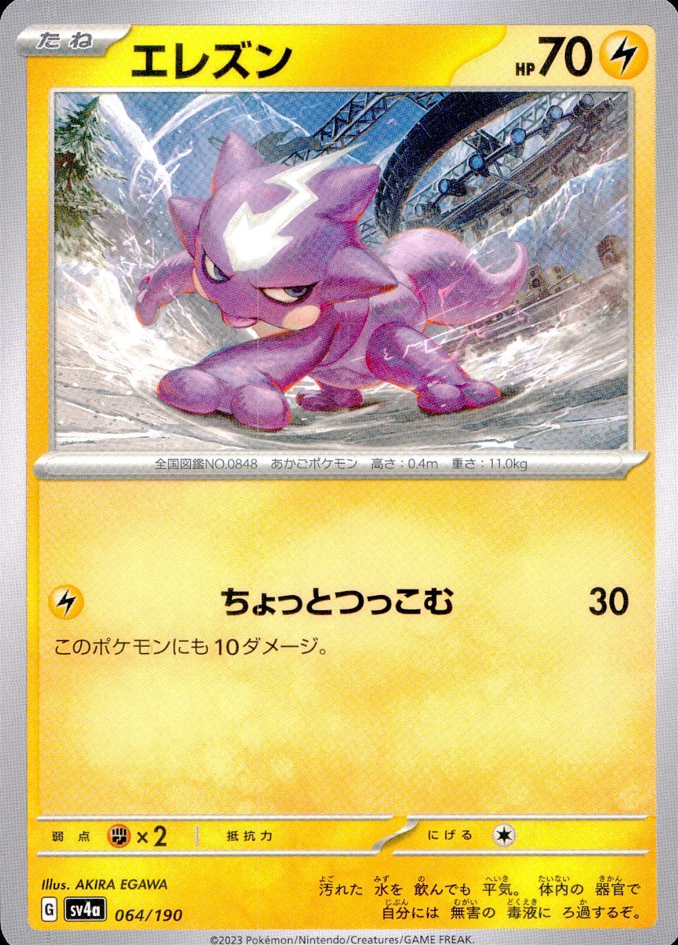 メイン商品画像