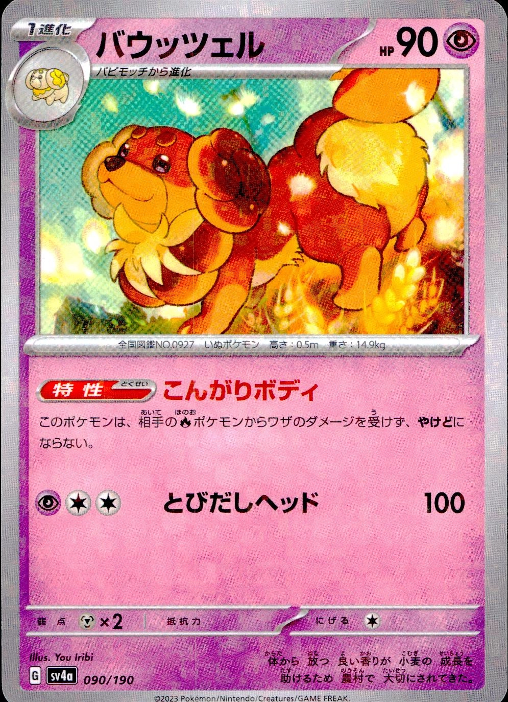 メイン商品画像