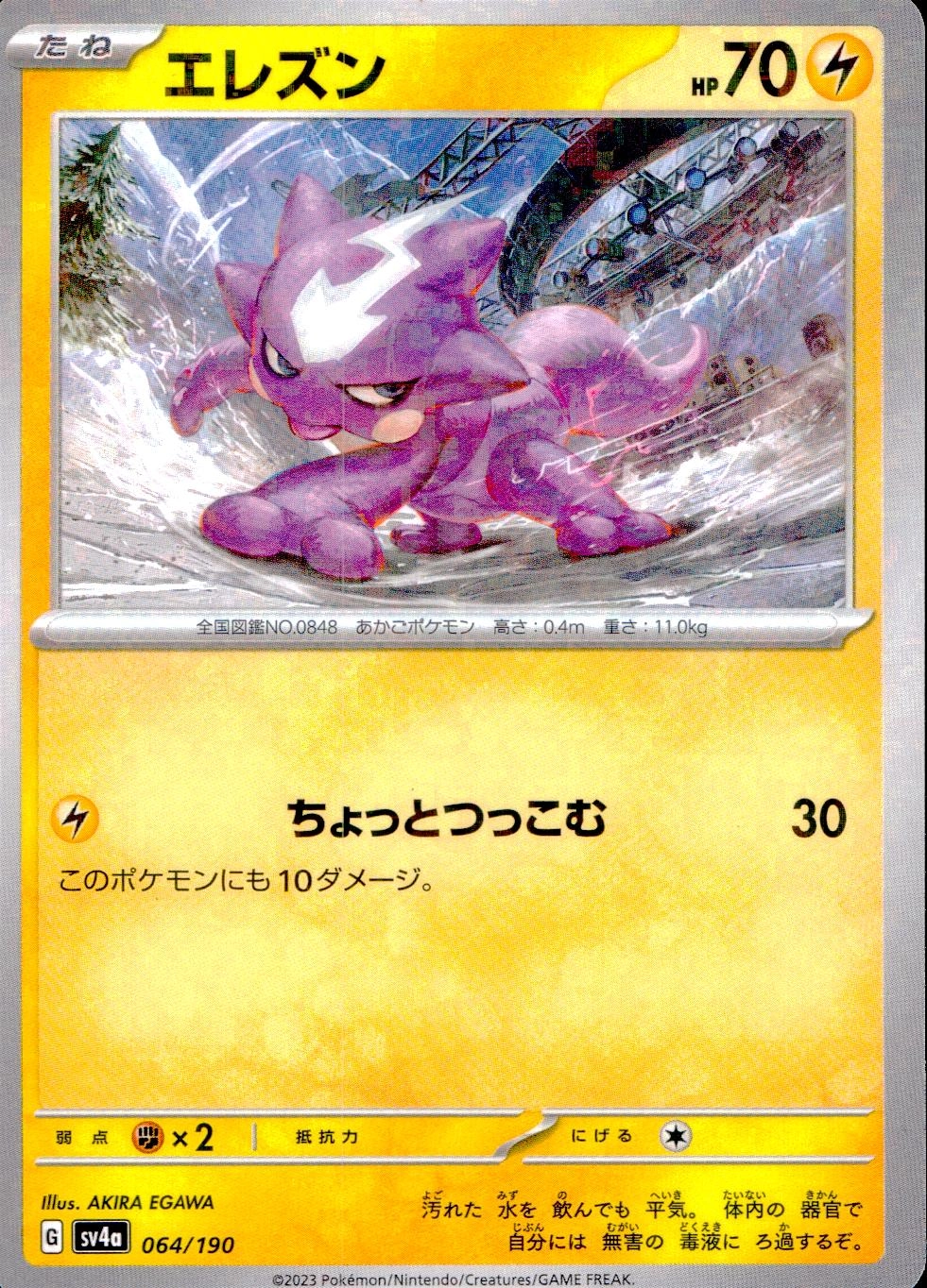 メイン商品画像