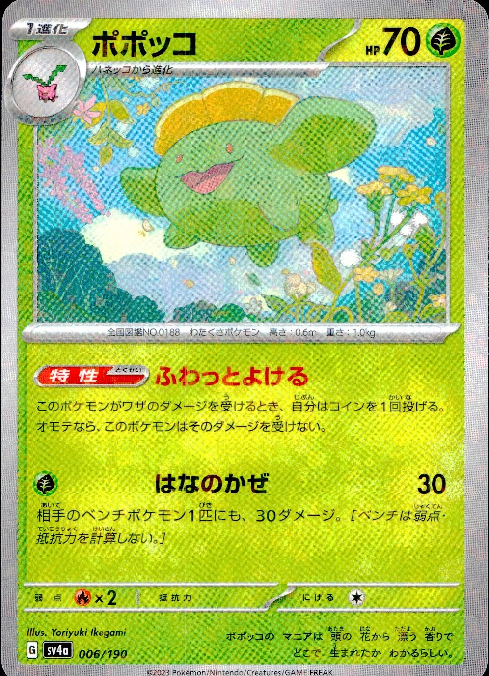 メイン商品画像