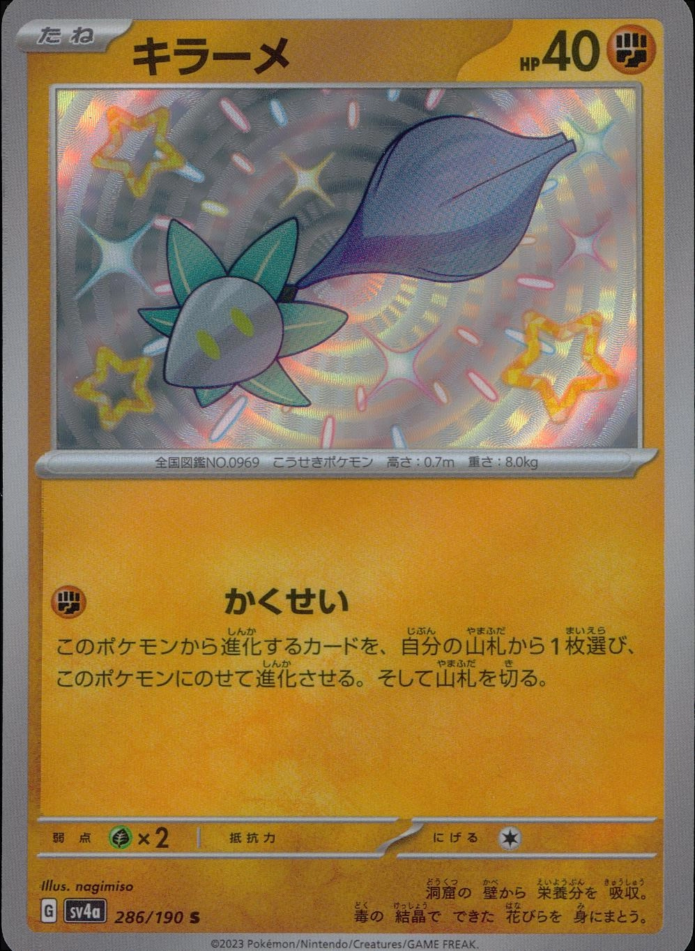 メイン商品画像