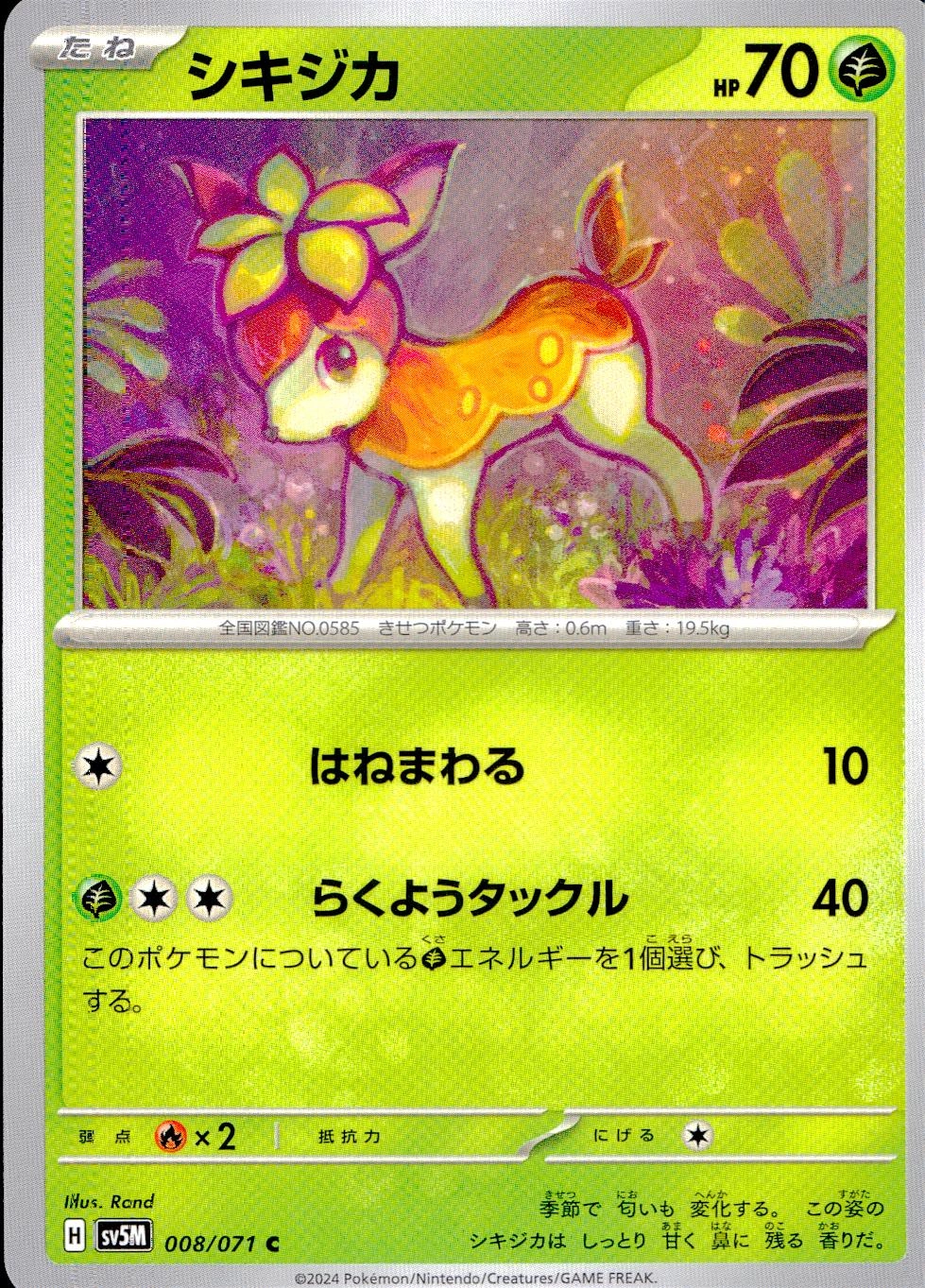 メイン商品画像