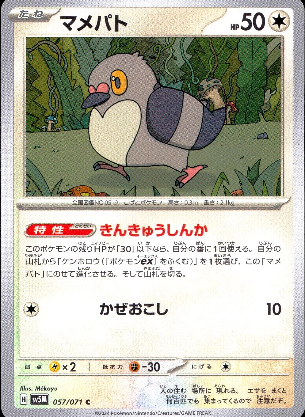 メイン商品画像