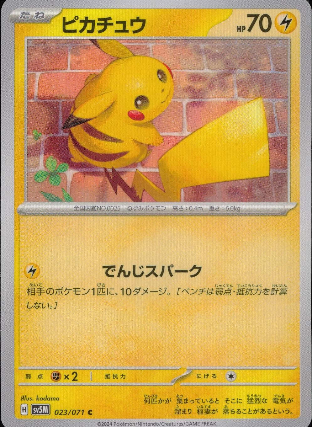 メイン商品画像