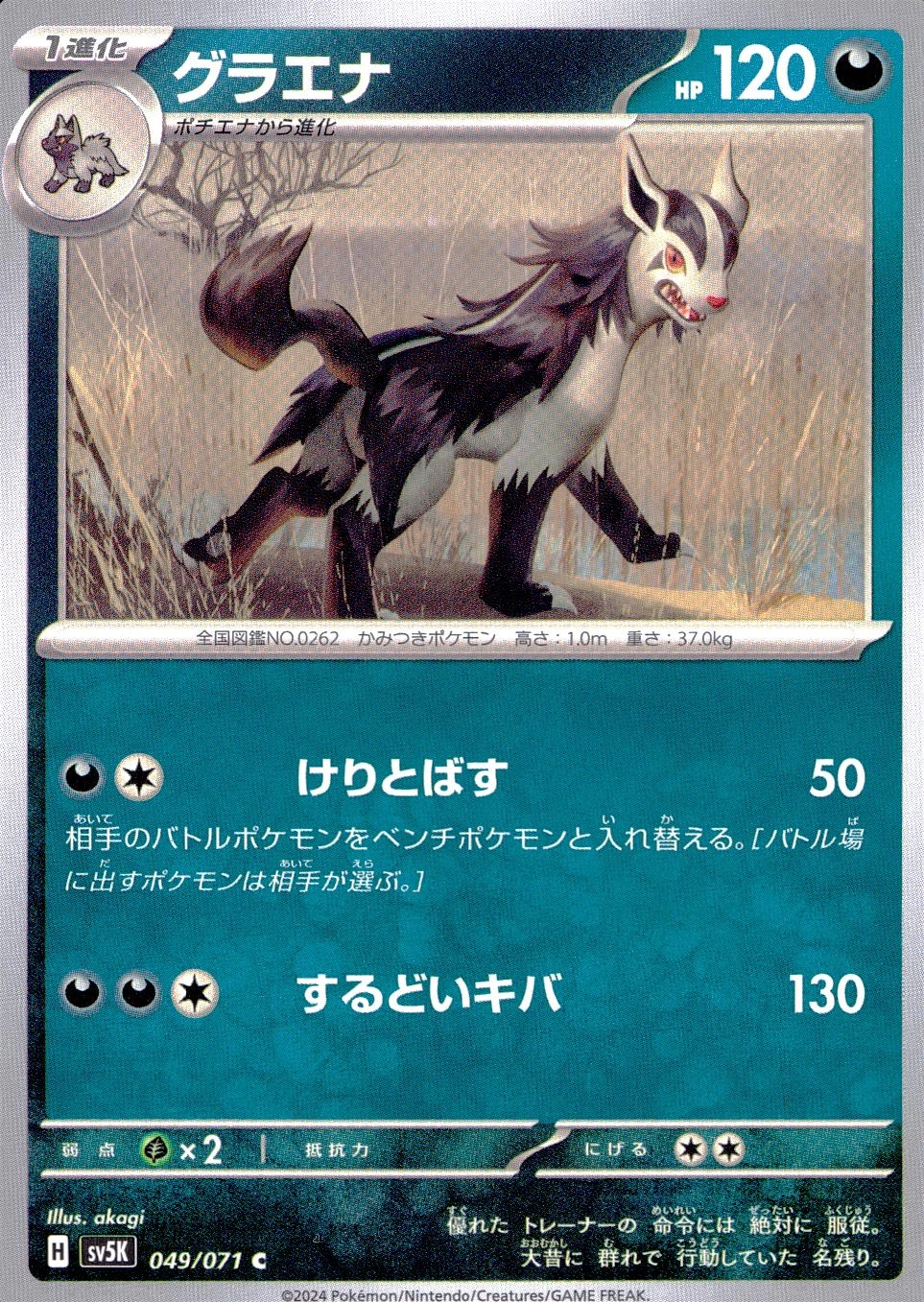 メイン商品画像