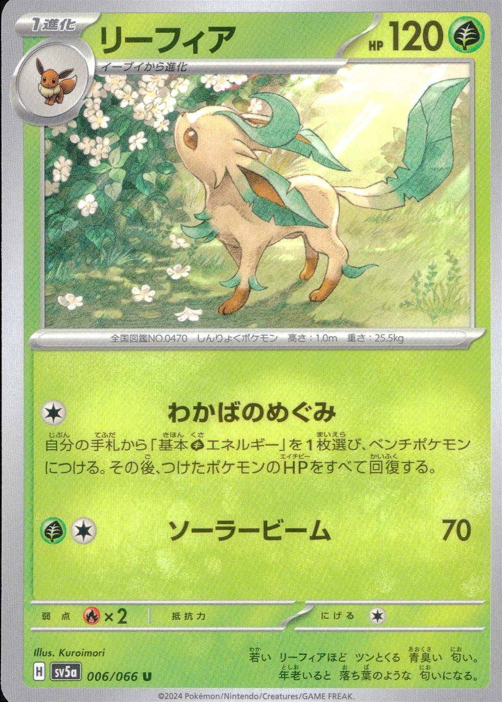 メイン商品画像