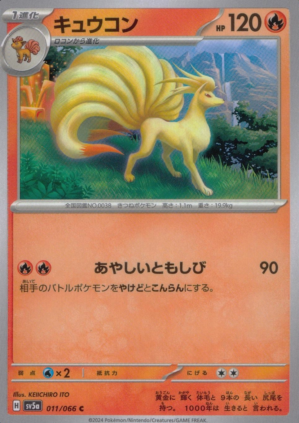 メイン商品画像