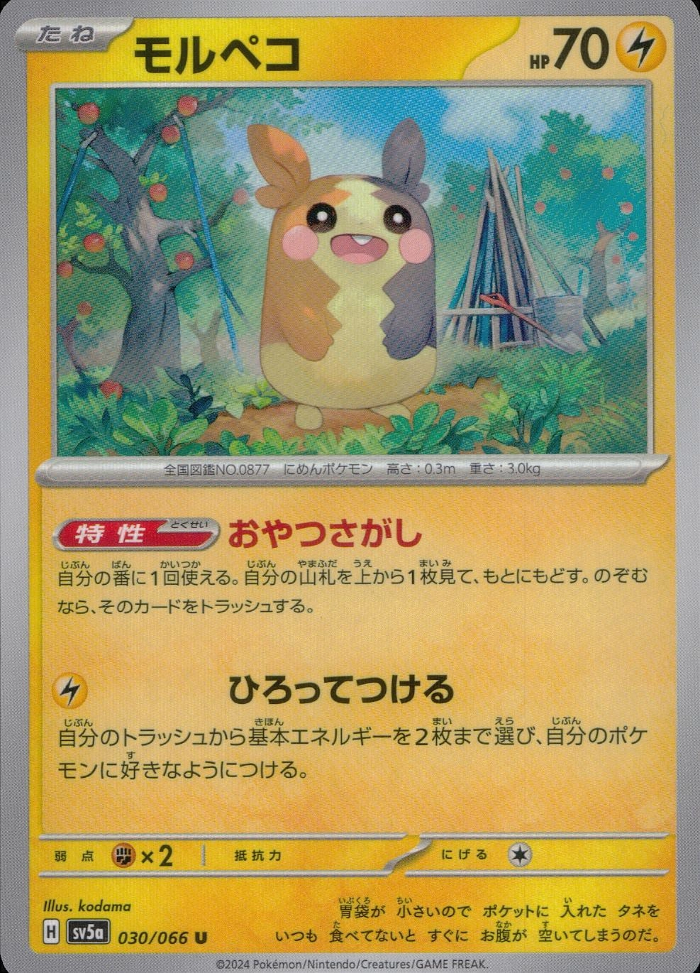 メイン商品画像