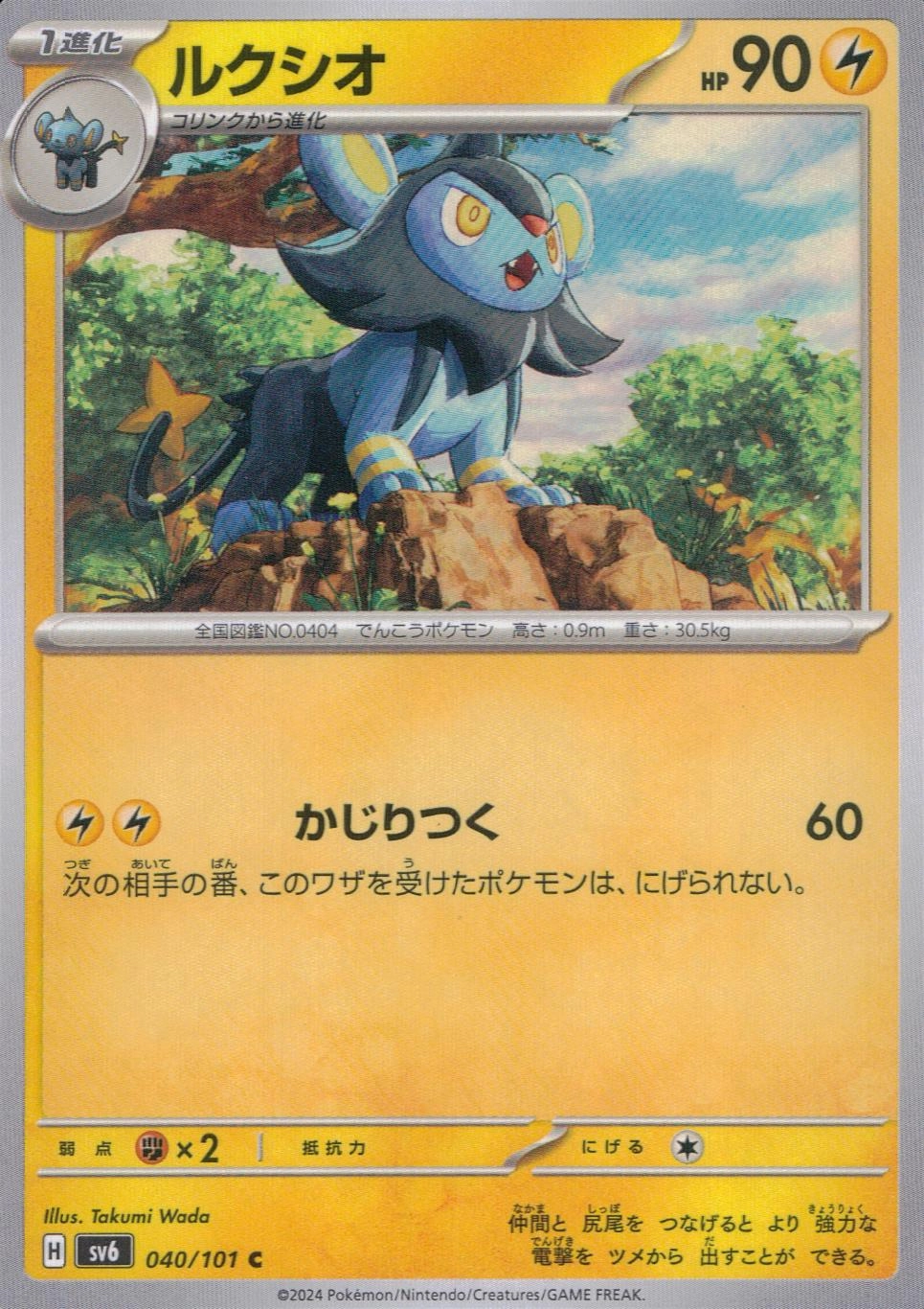 メイン商品画像