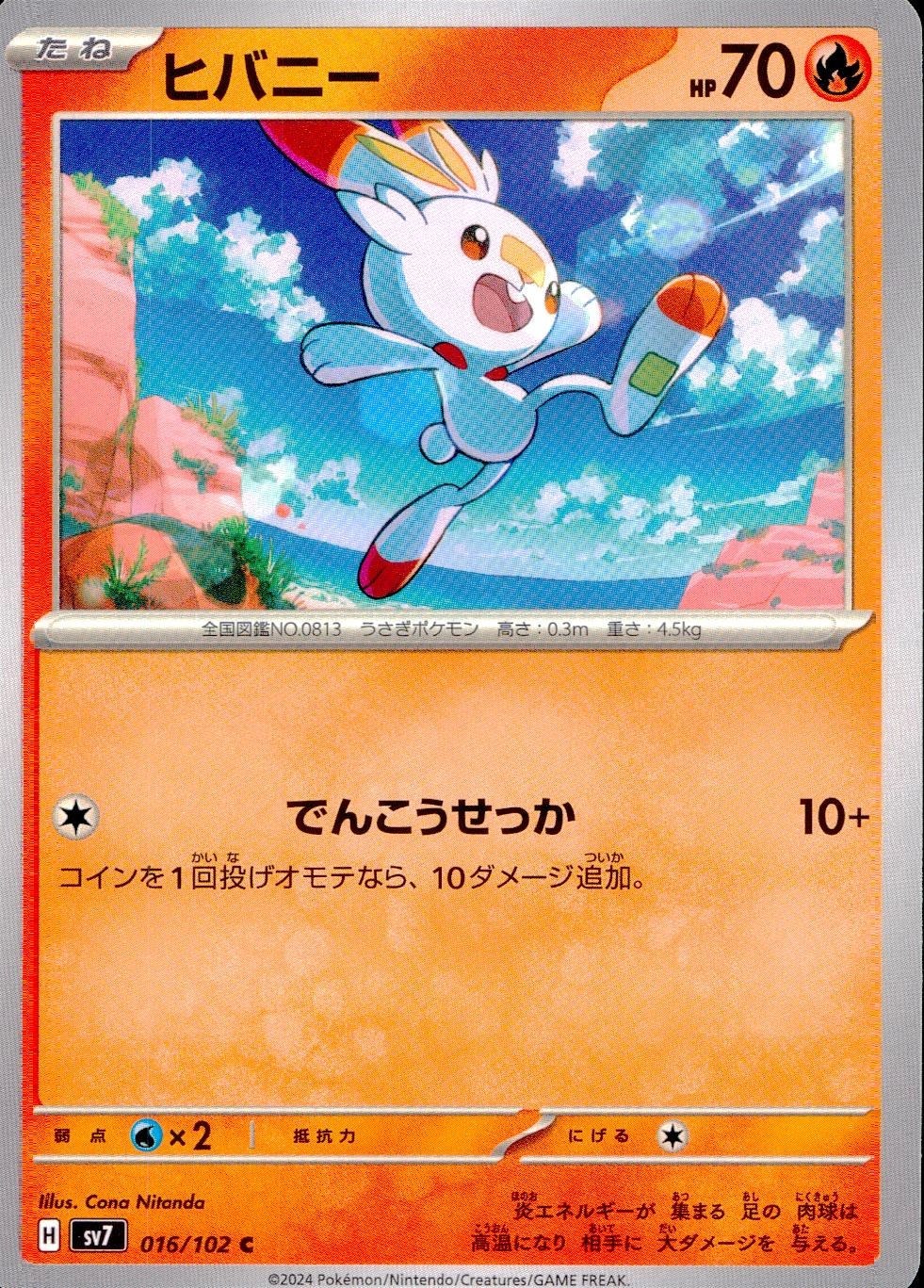 メイン商品画像
