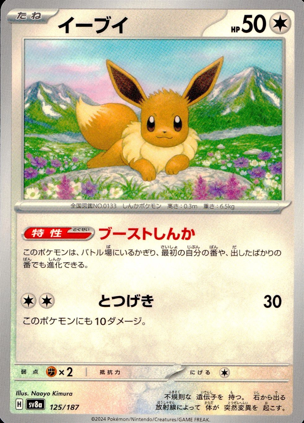 メイン商品画像