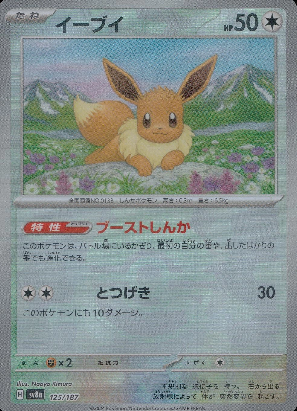 メイン商品画像