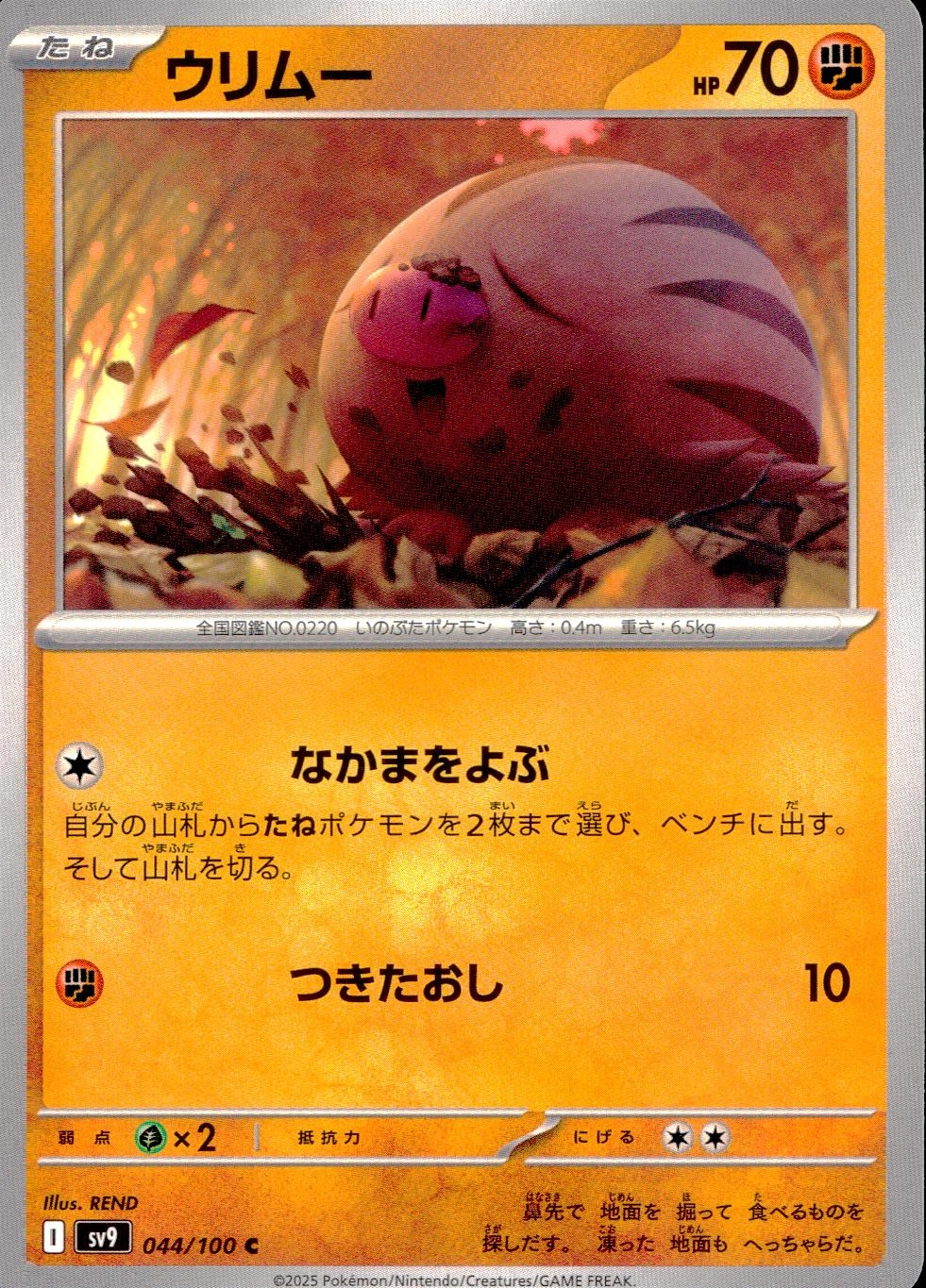 メイン商品画像