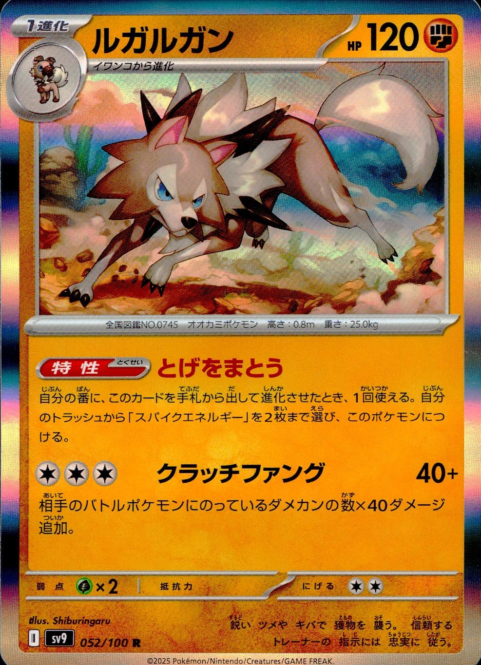 メイン商品画像