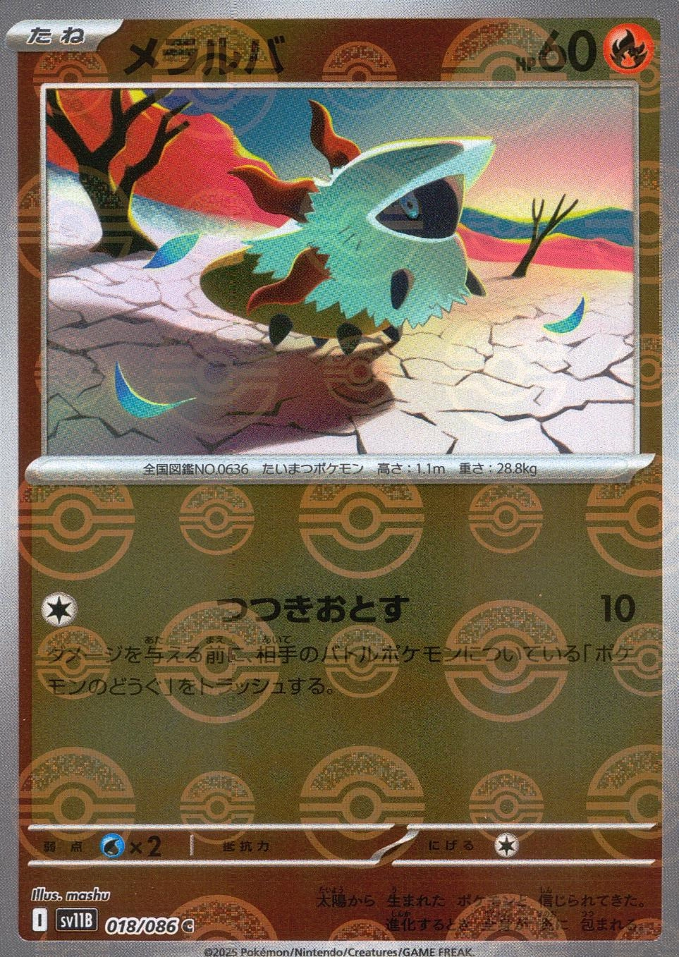 メイン商品画像