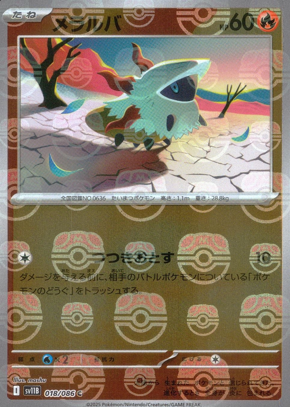 メイン商品画像