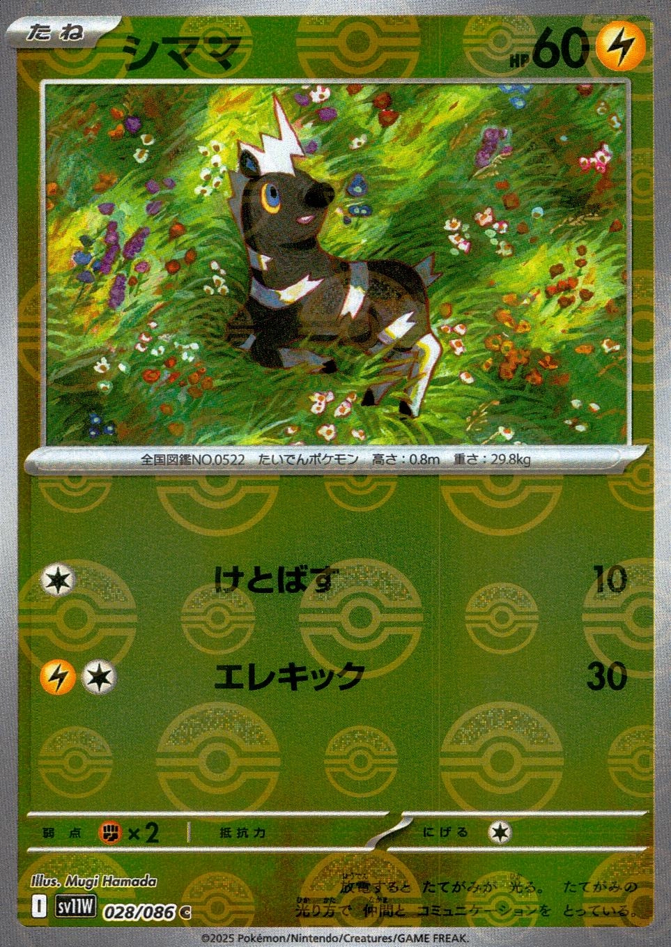 メイン商品画像