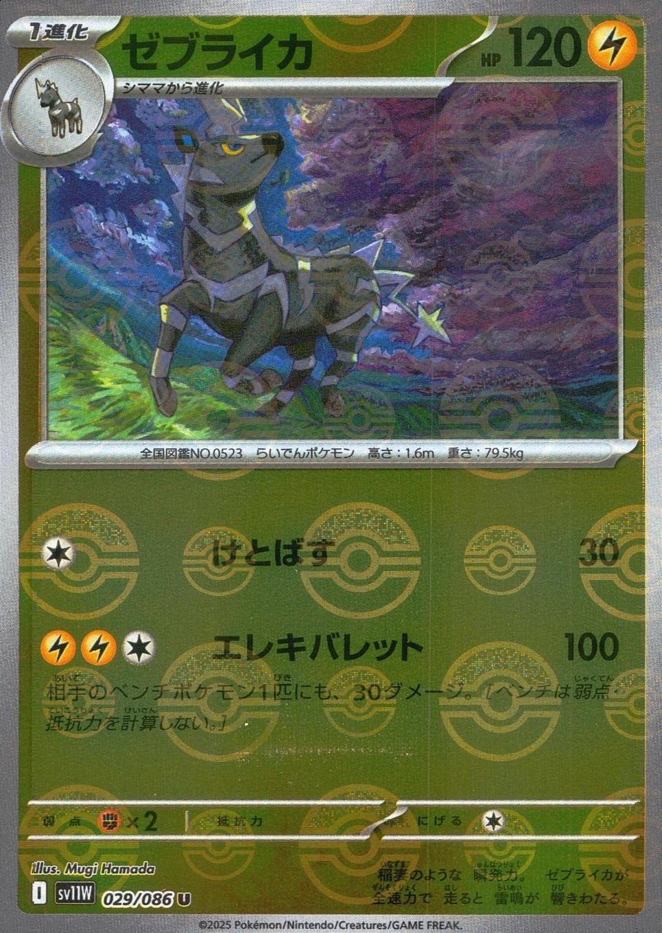 メイン商品画像