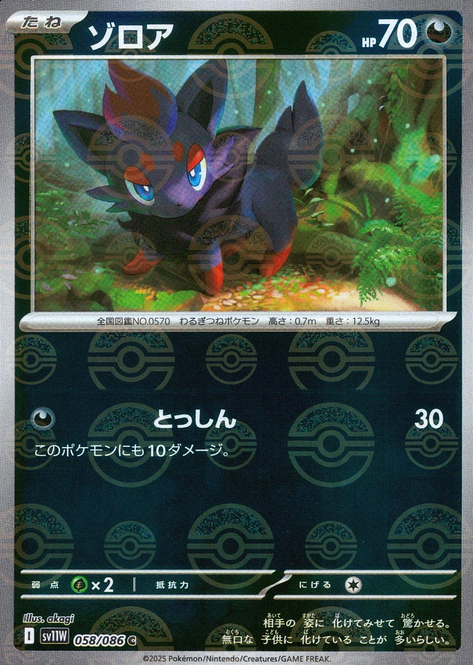 メイン商品画像