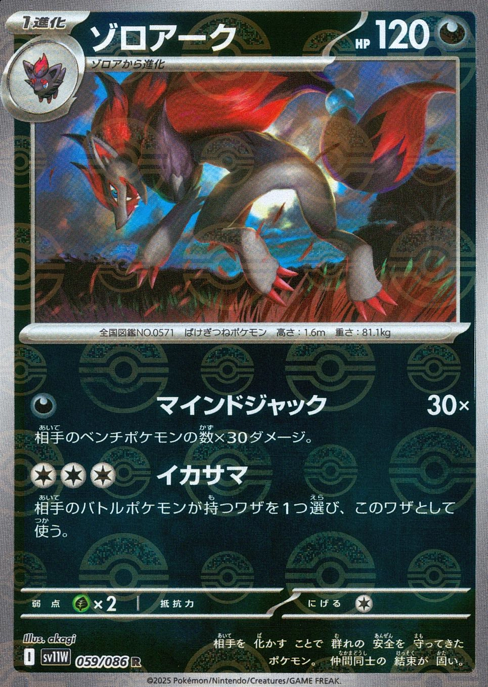 メイン商品画像