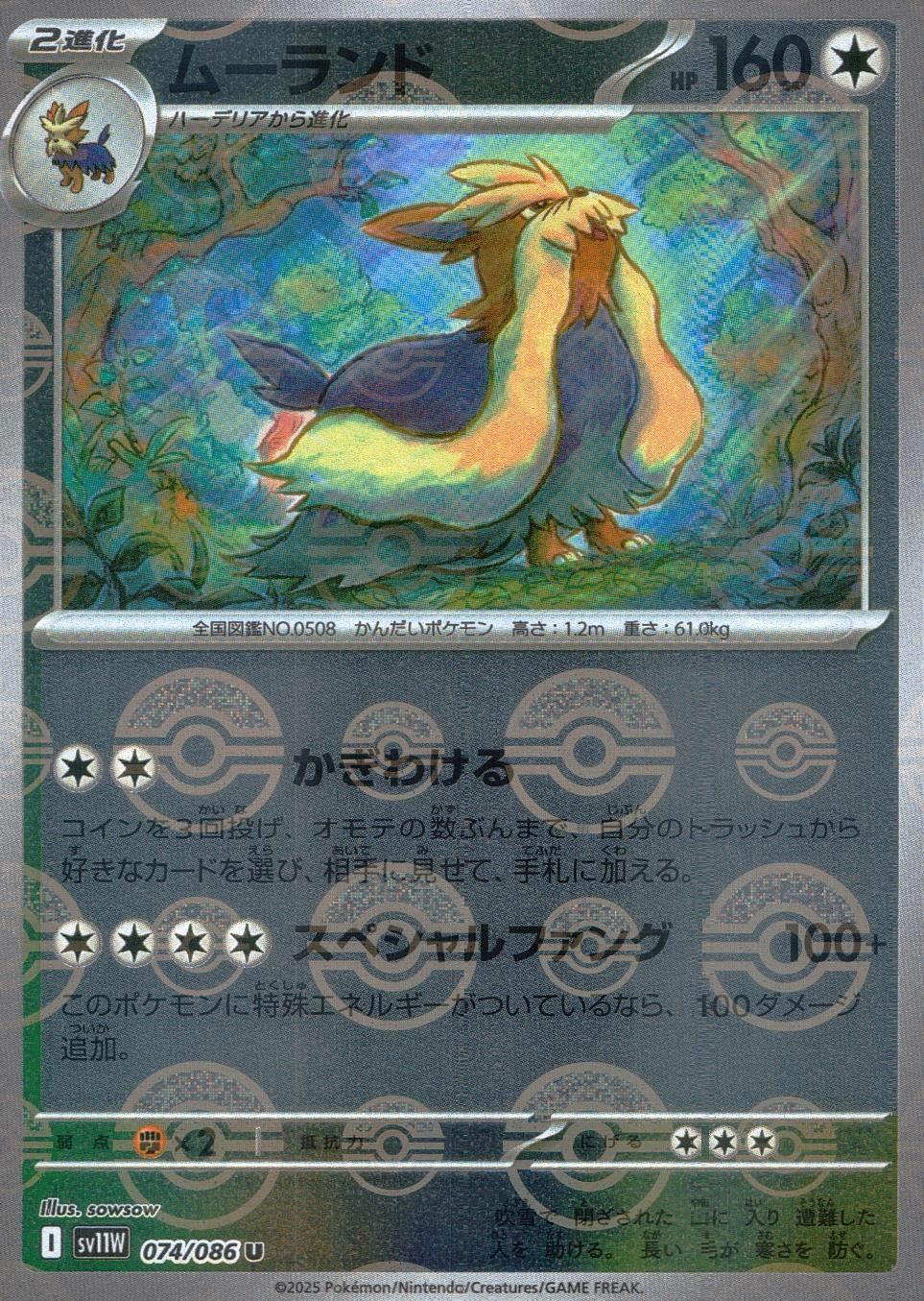 メイン商品画像