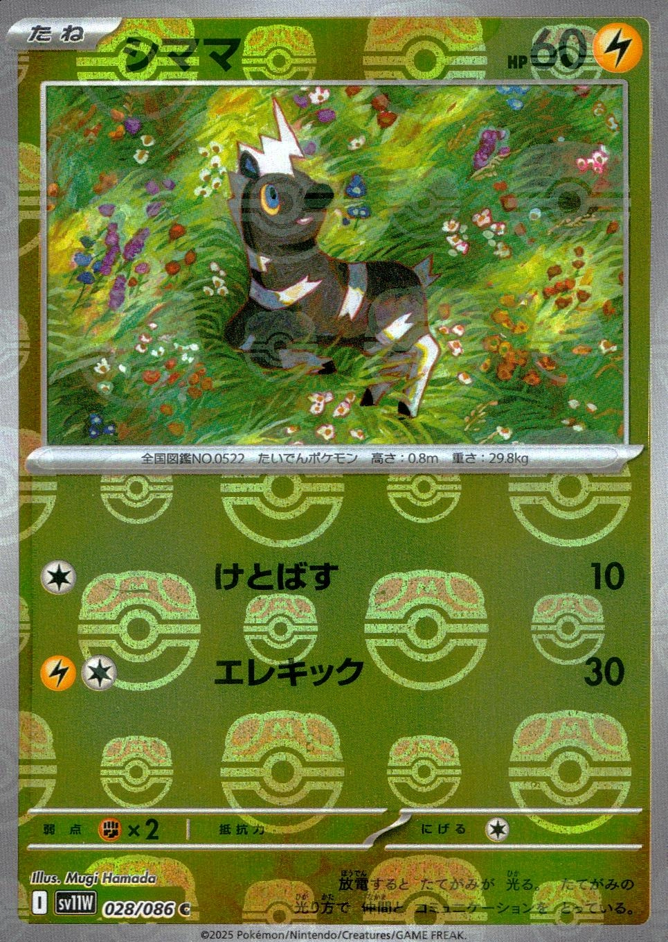 メイン商品画像