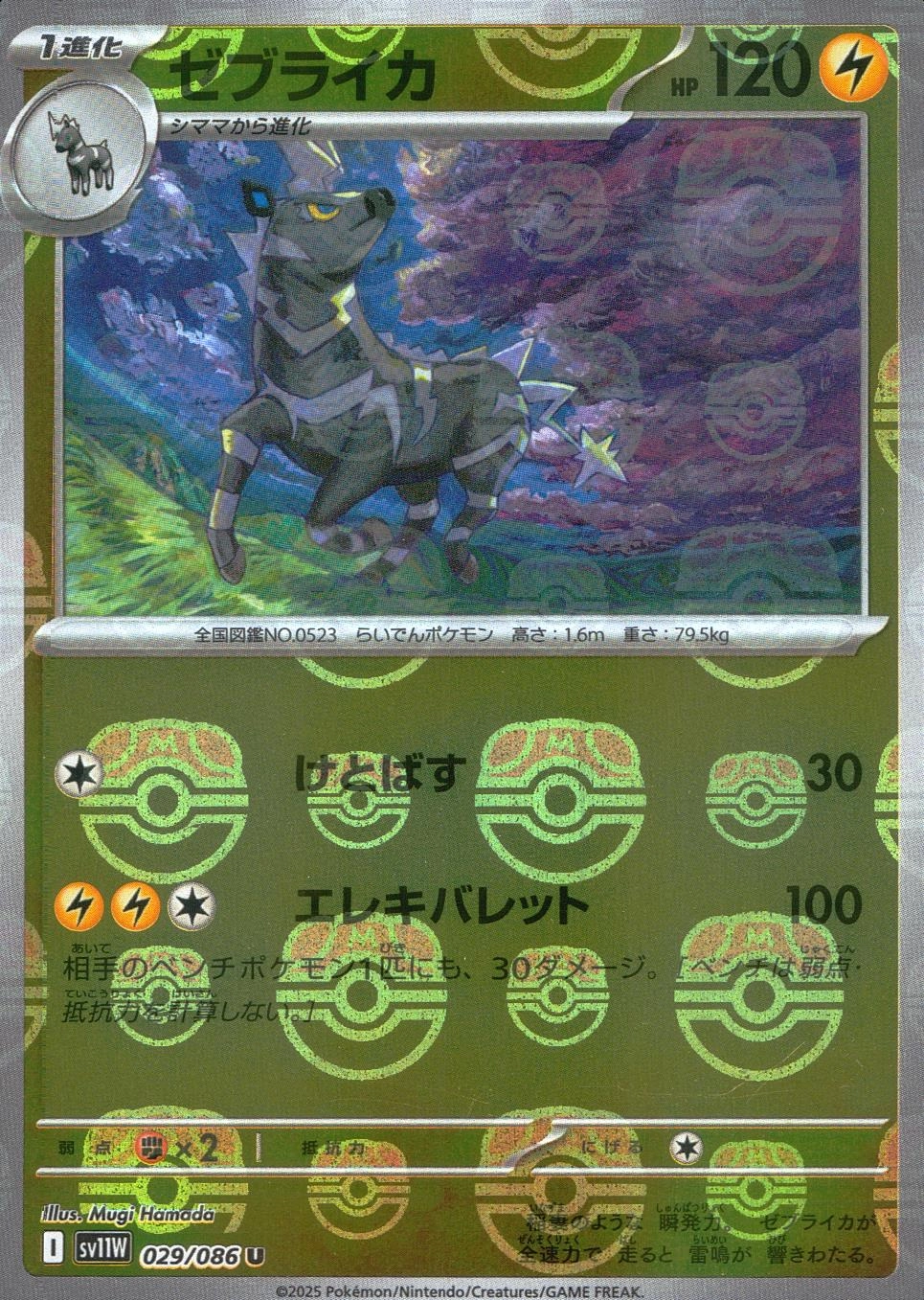 メイン商品画像